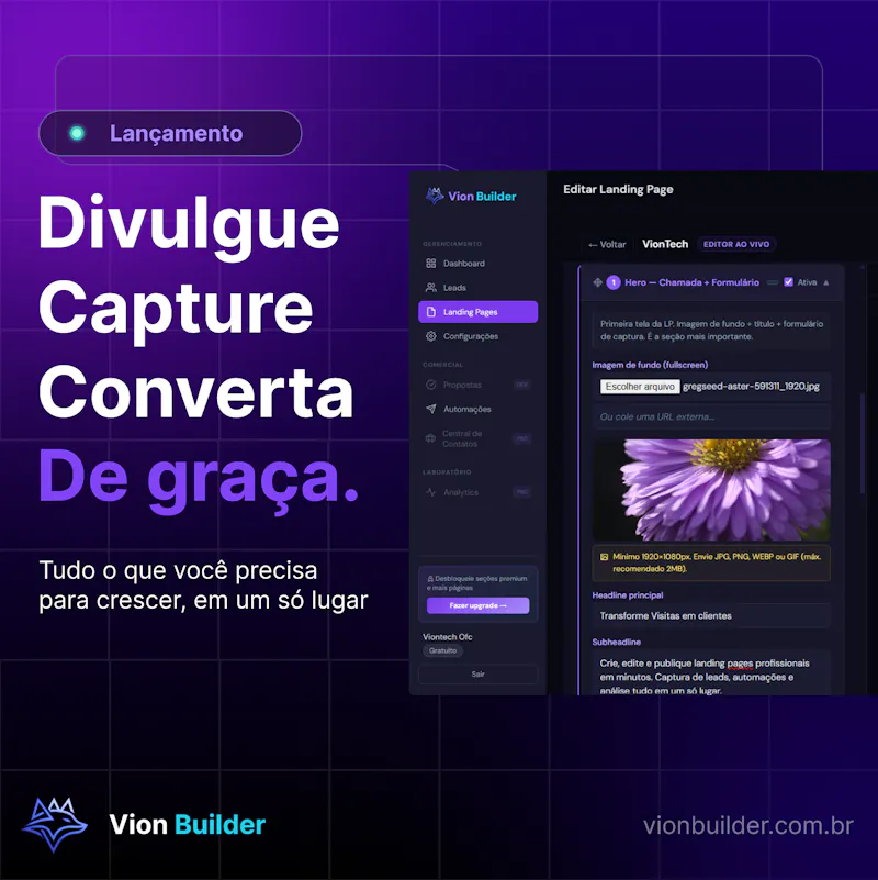 VIonBuilder  screenshot 1