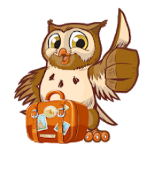 Travel Owl -The Travel Begins! 