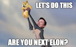 Are you next Elon? media 1