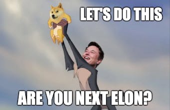Are you next Elon? gallery image