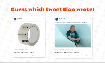 Elon Sh*tposts Quiz gallery image