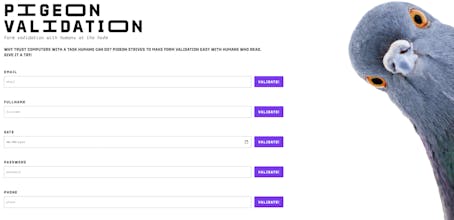 Pigeon - web form validation done right gallery image