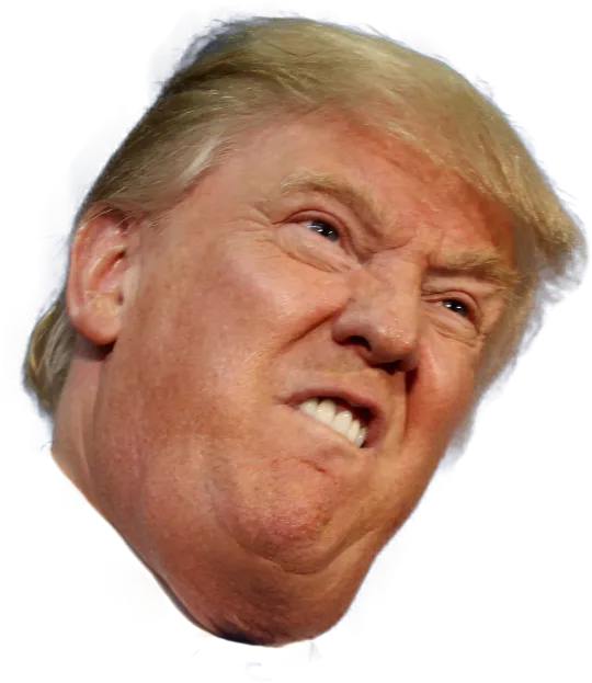 Poet in Chief