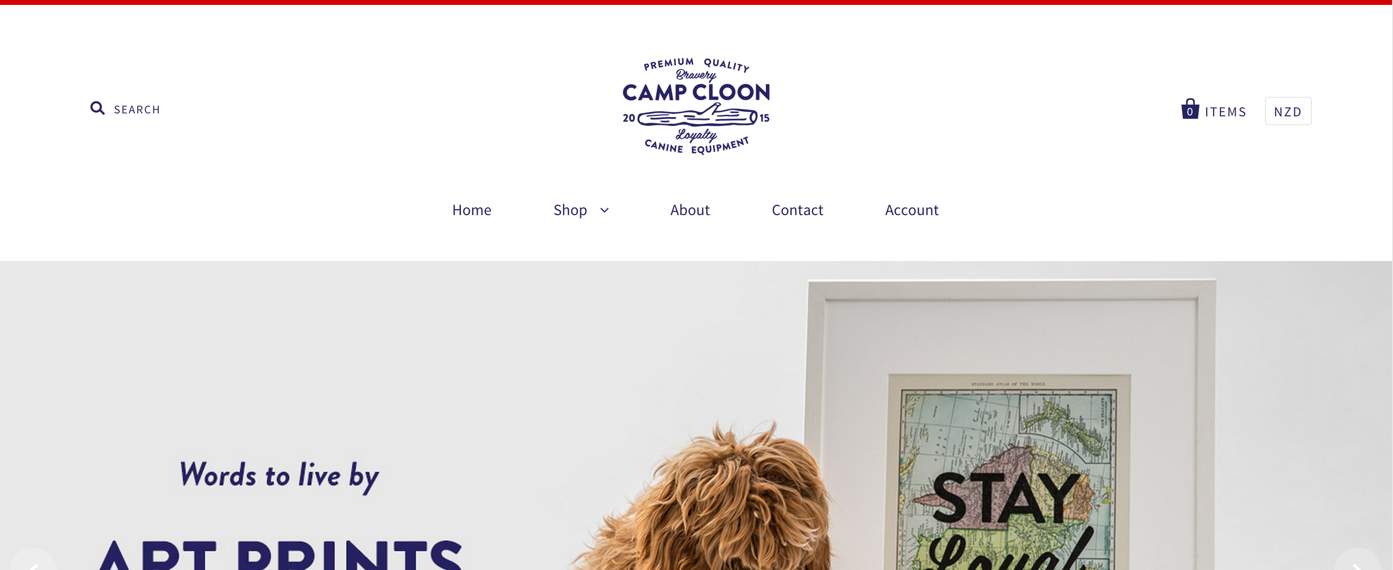 Camp Cloon gallery image