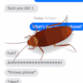 Mocksy