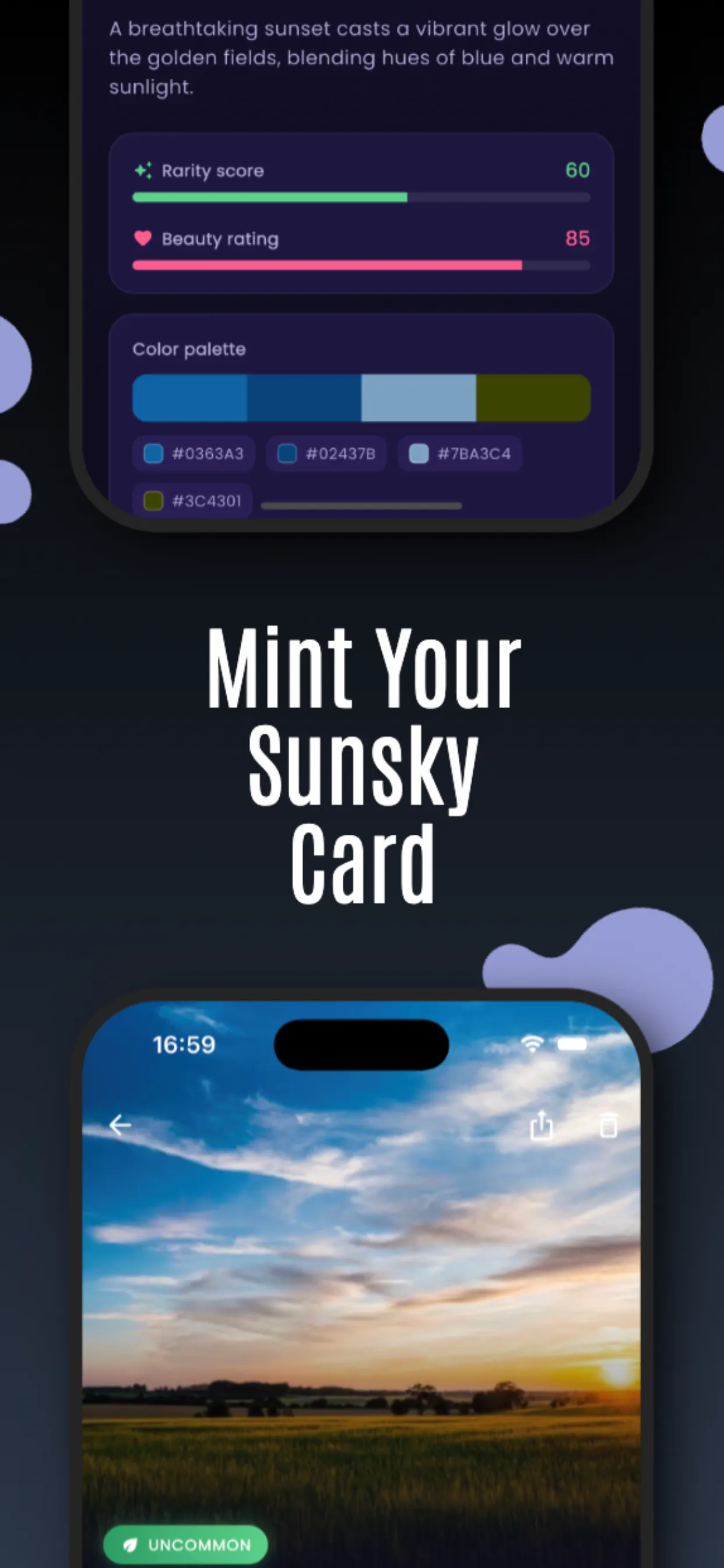 SunSky Collector gallery image