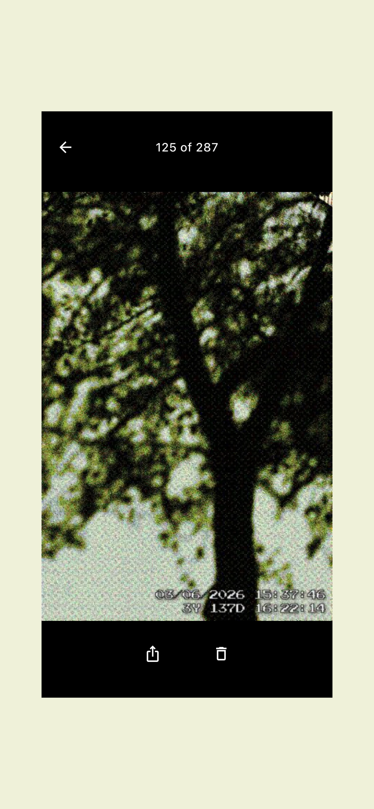 PXLCAM: Climate Clock Camera screenshot 2