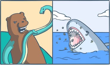 Would You Rather. A Newsletter. gallery image