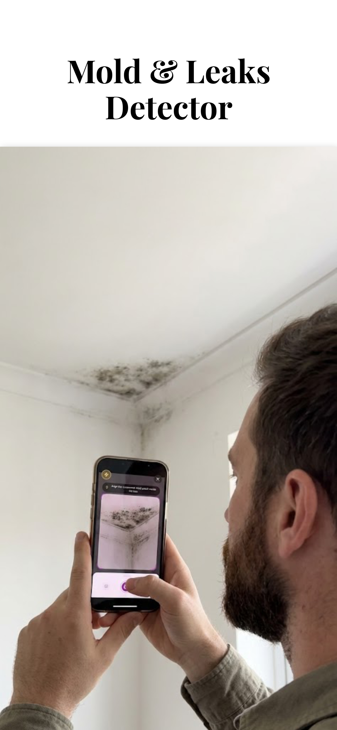 House Inspector gallery image