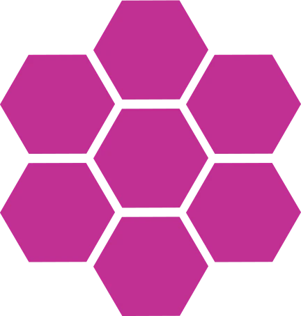 Saul Fleischman cover