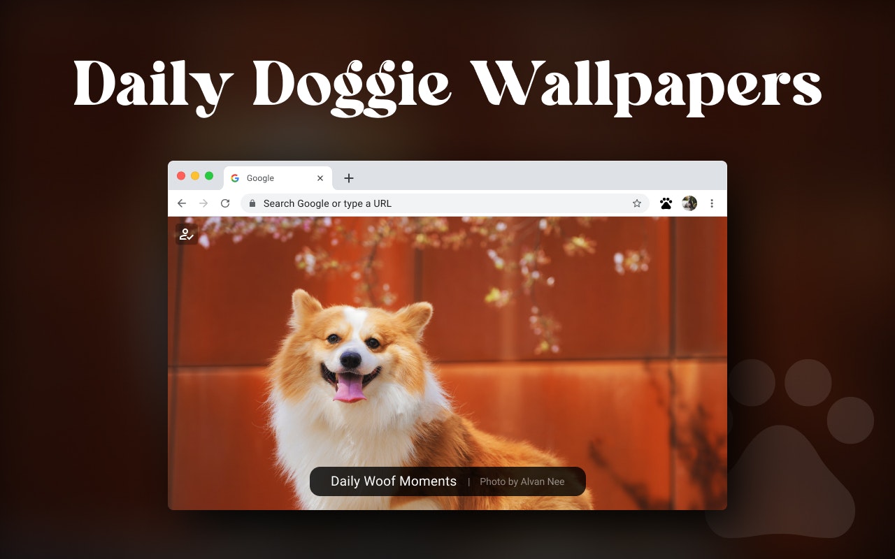 Daily Woof Moments media 1