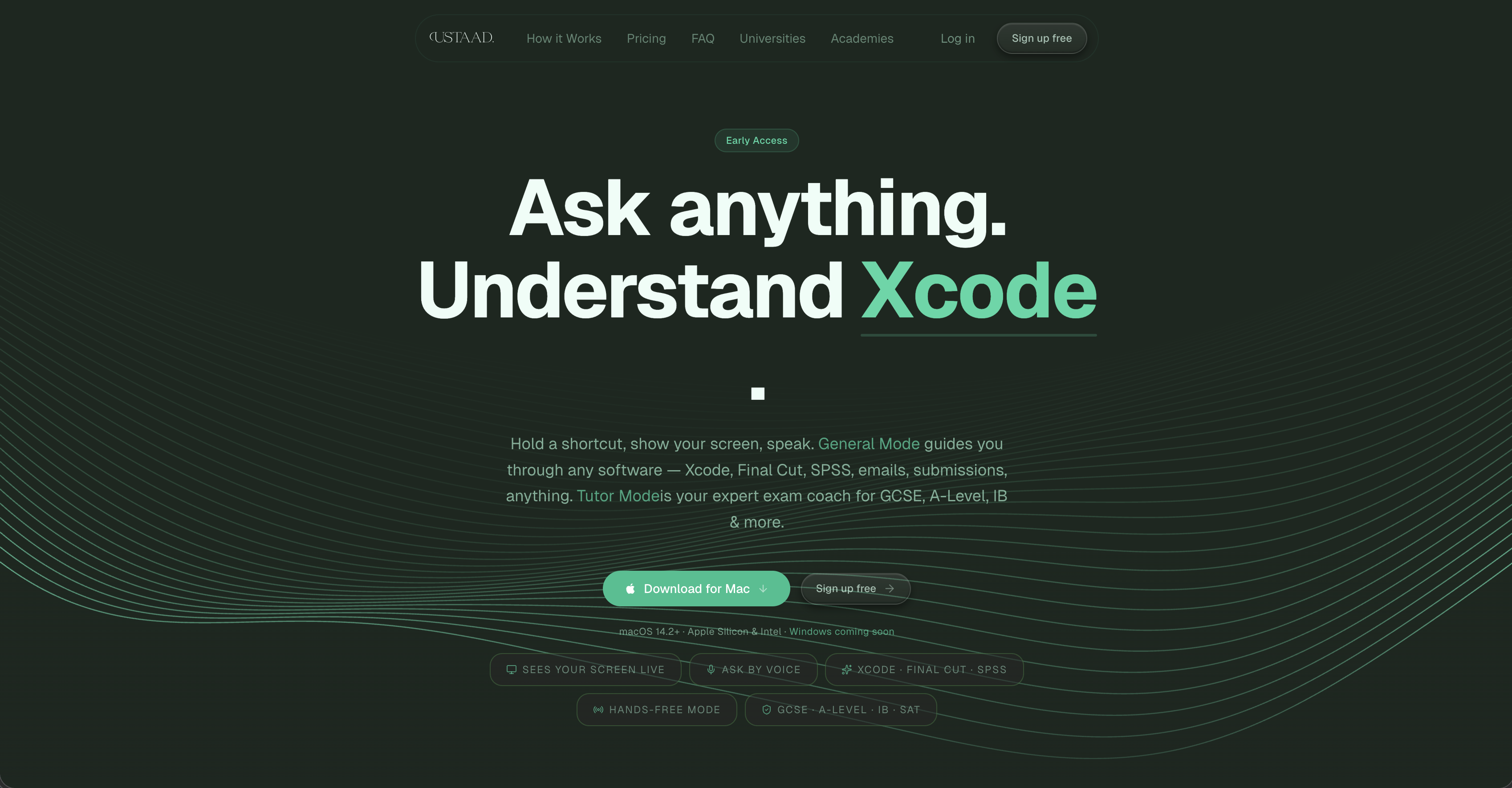 Ustaad gallery image