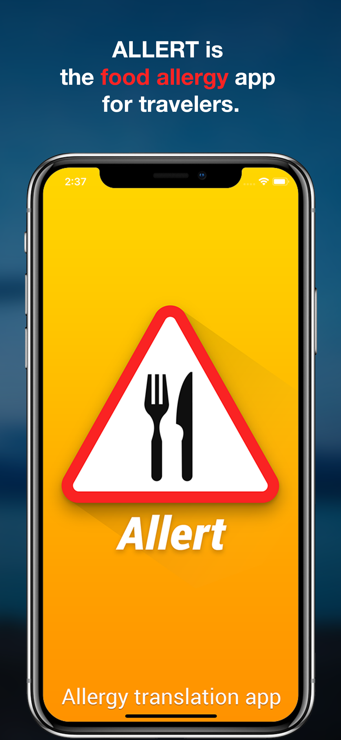 Allert gallery image