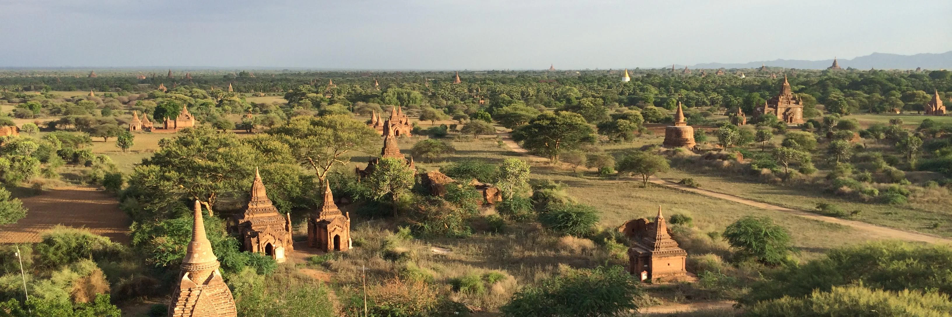 Matt Sencenbaugh cover