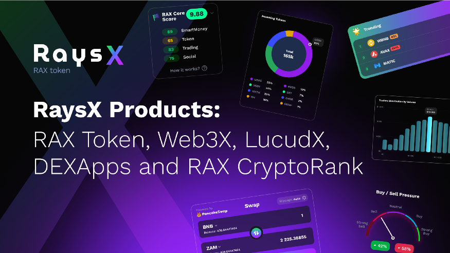 Raysx media 3