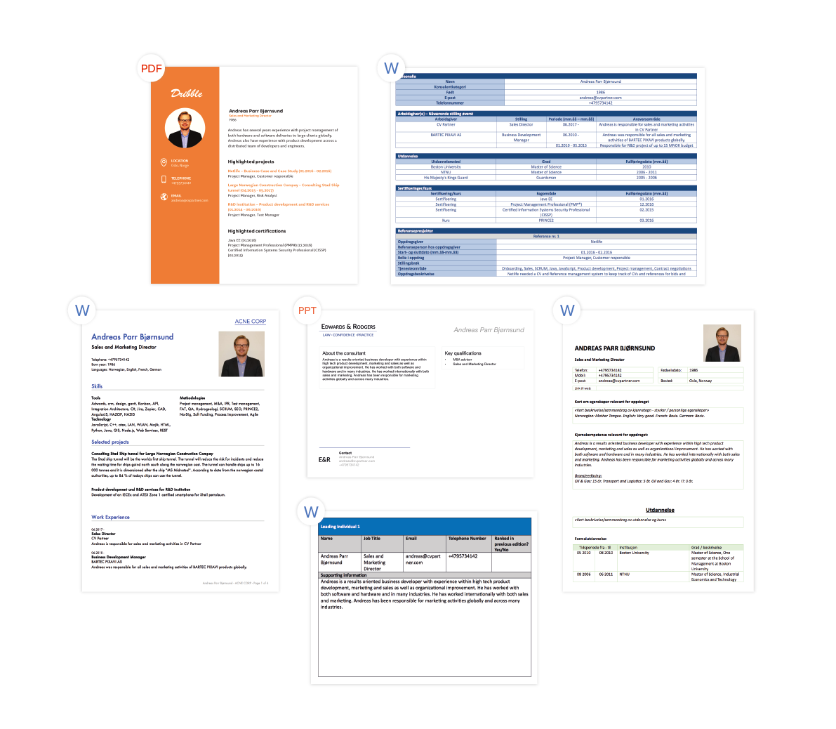 CV Partner gallery image