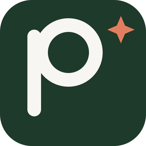 Plainly logo