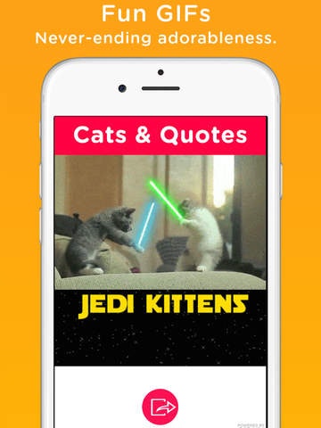 Cats & Quotes gallery image