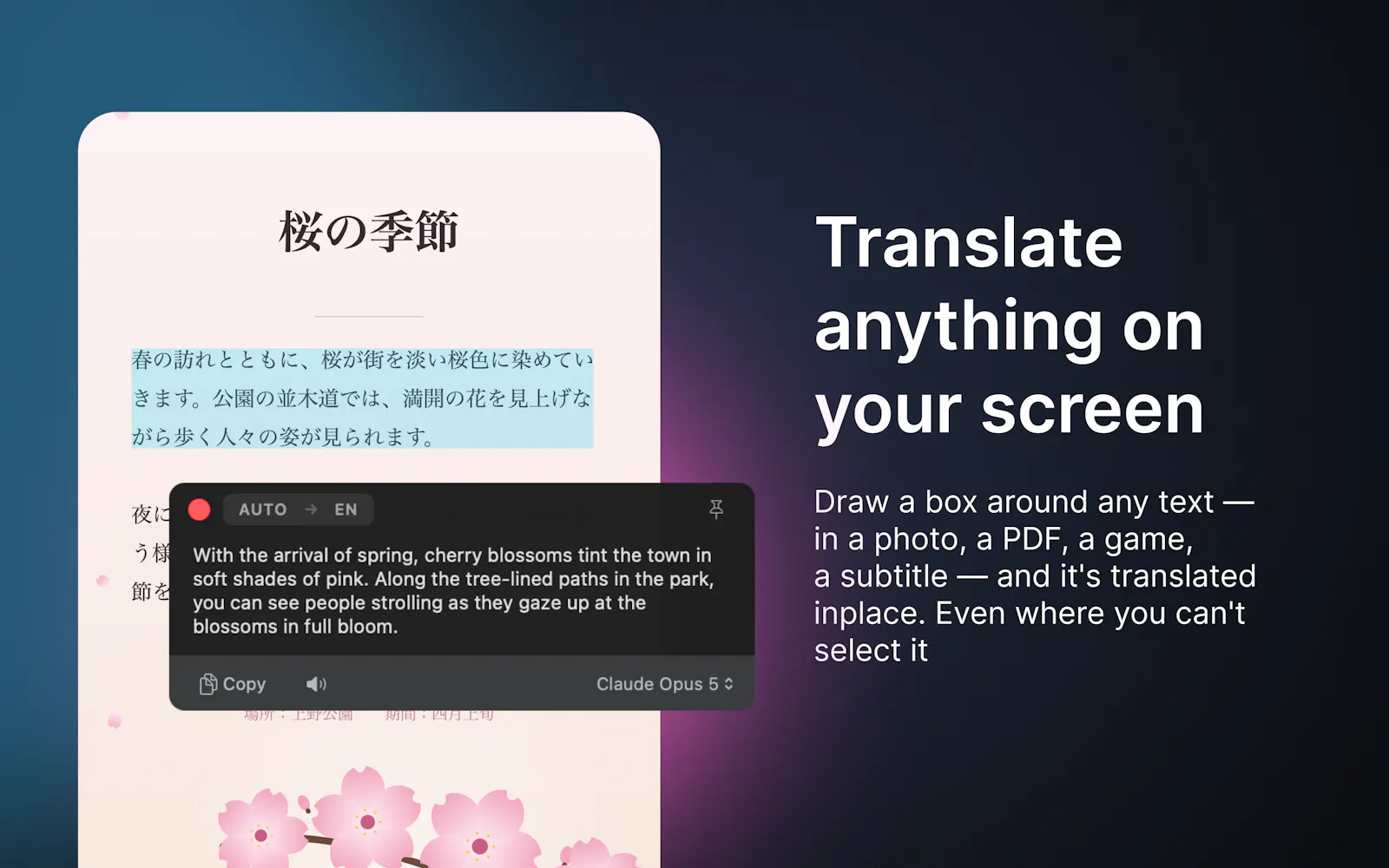 Awnsy screenshot 2