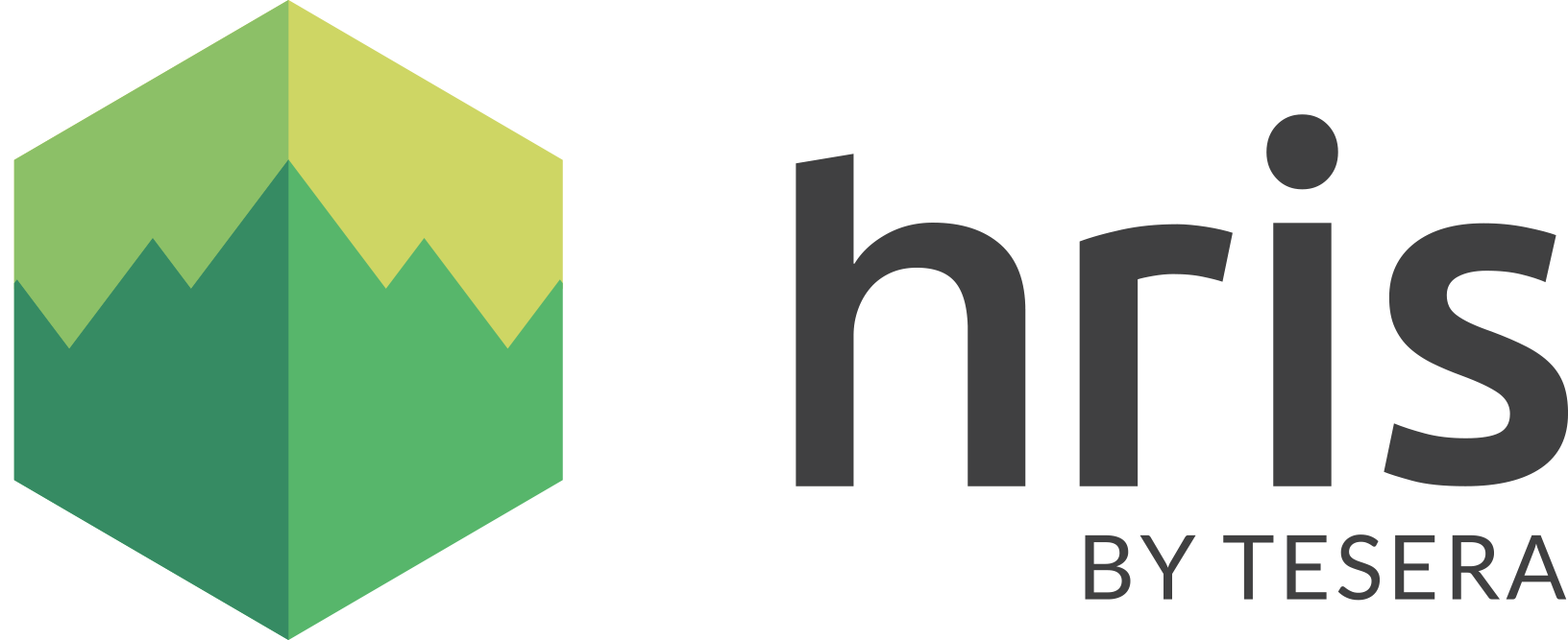 High Resolution Inventory Solutions 