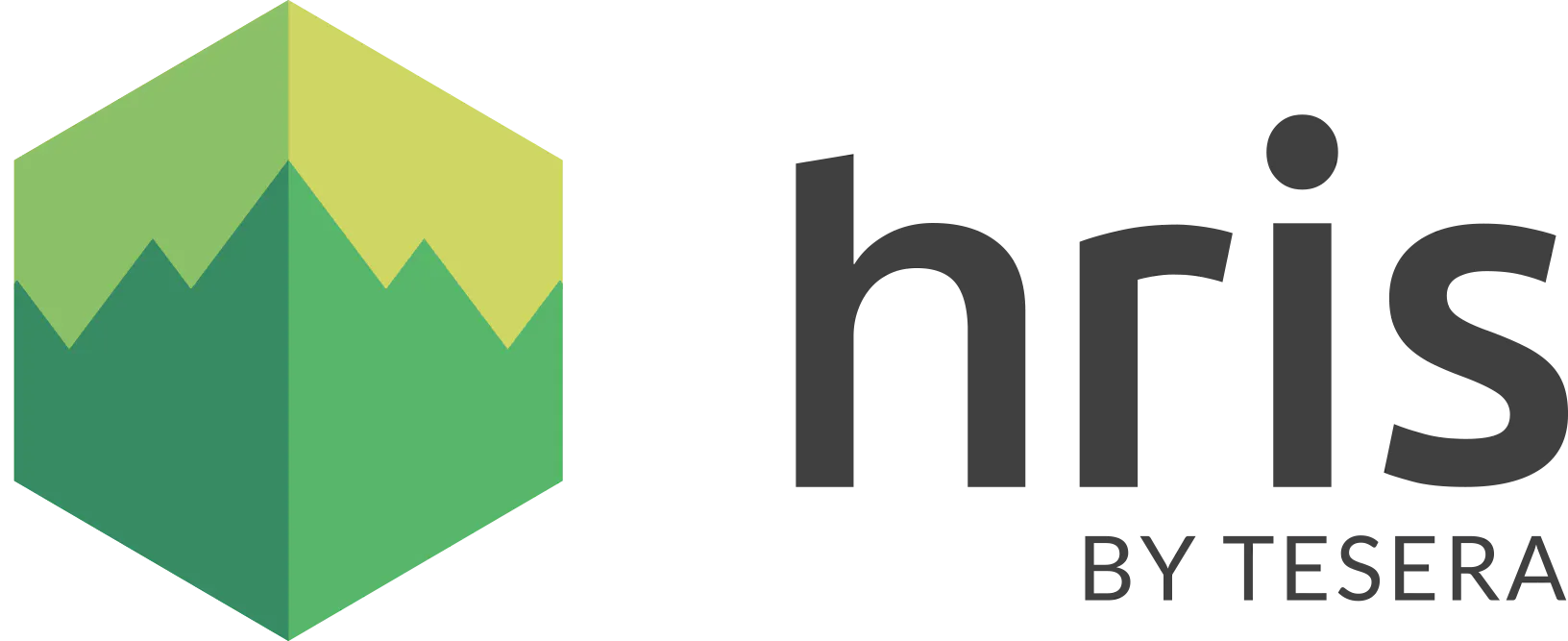High Resolution Inventory Solutions
