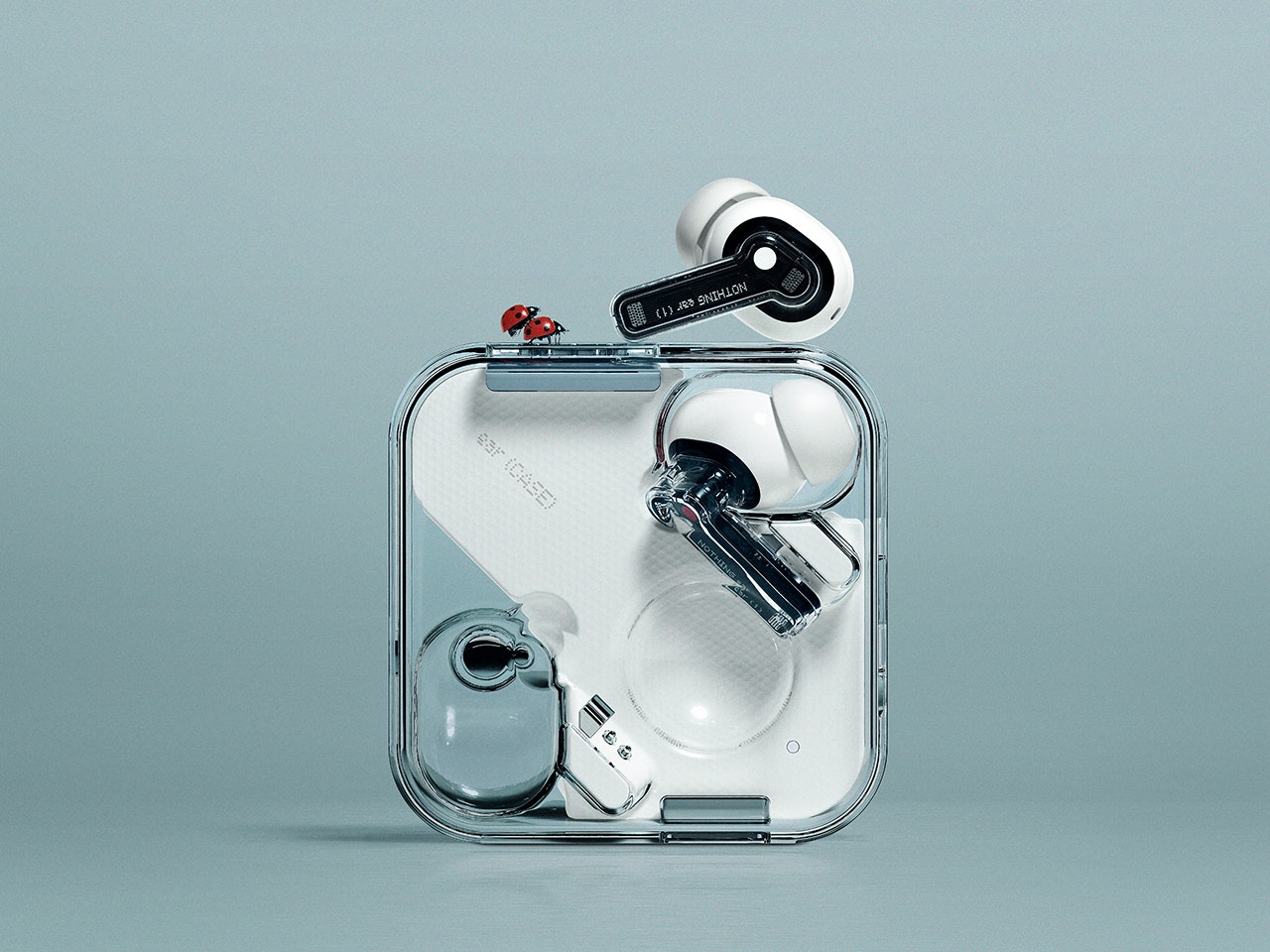 Invest in Nothing (Accredited Investor) gallery image