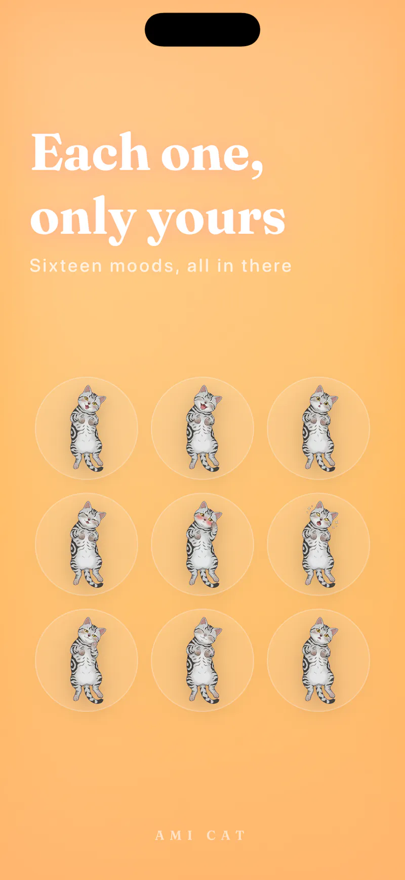 Ami Cat screenshot 5