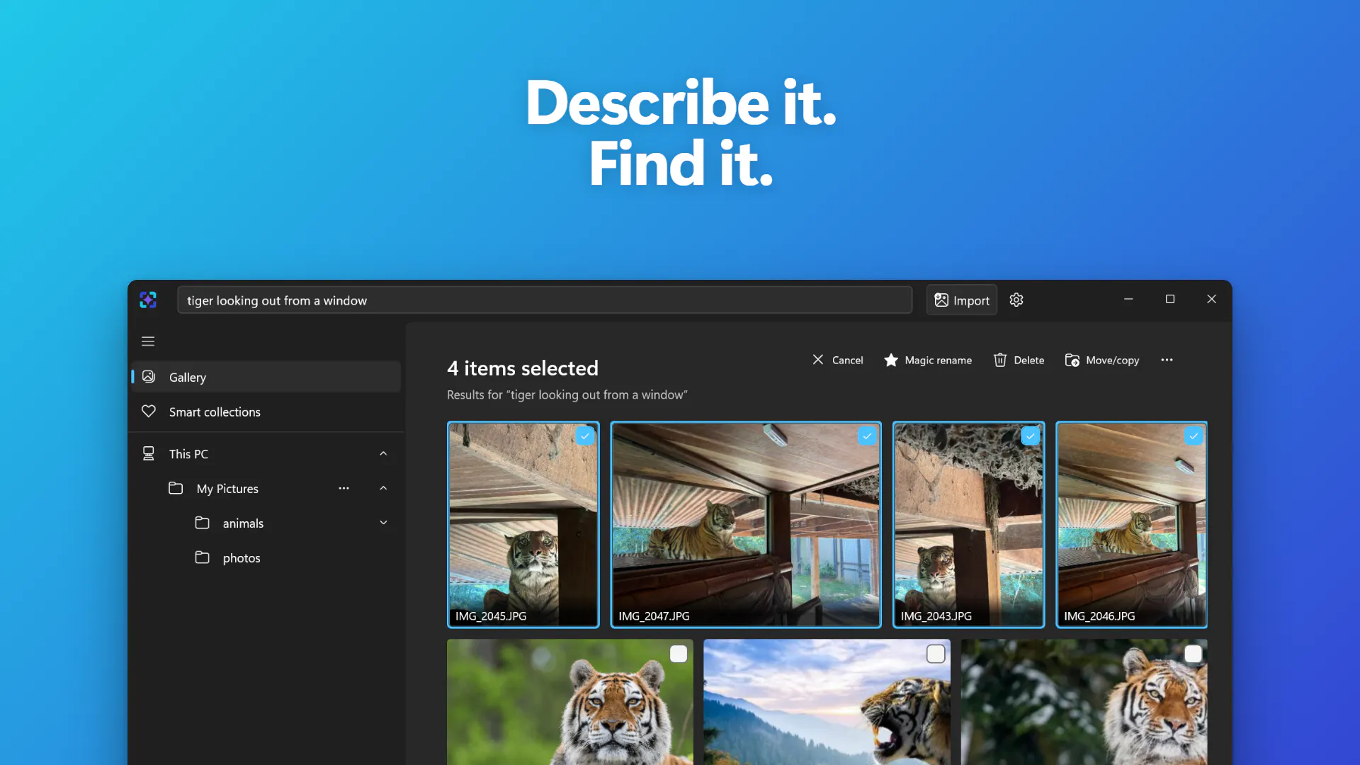 ImageSage AI photo manager gallery image