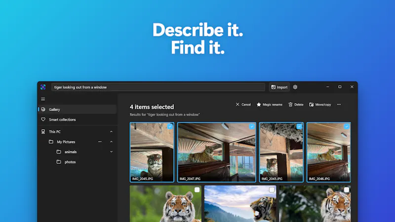 ImageSage AI photo manager screenshot 2