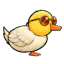 DUCK YOU — A very personal duck hunt