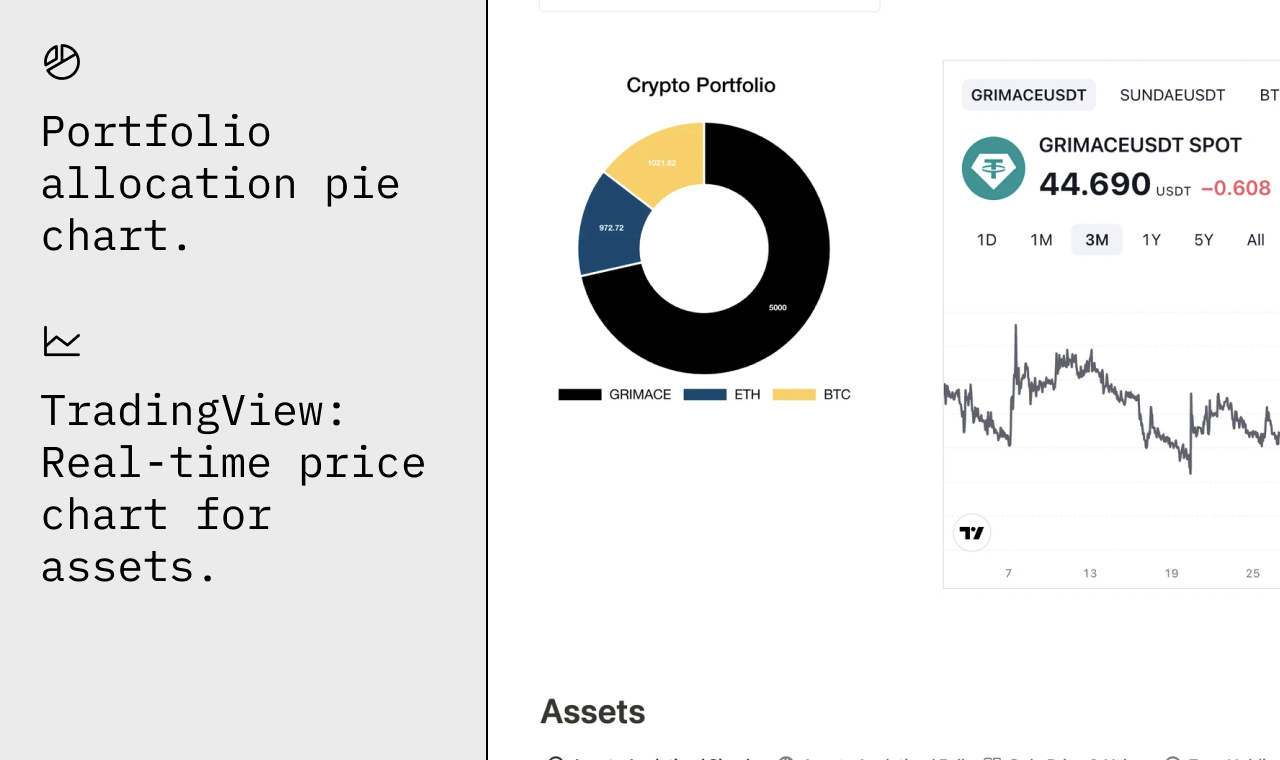 Notion portefeuille crypto avec automatisation media 5