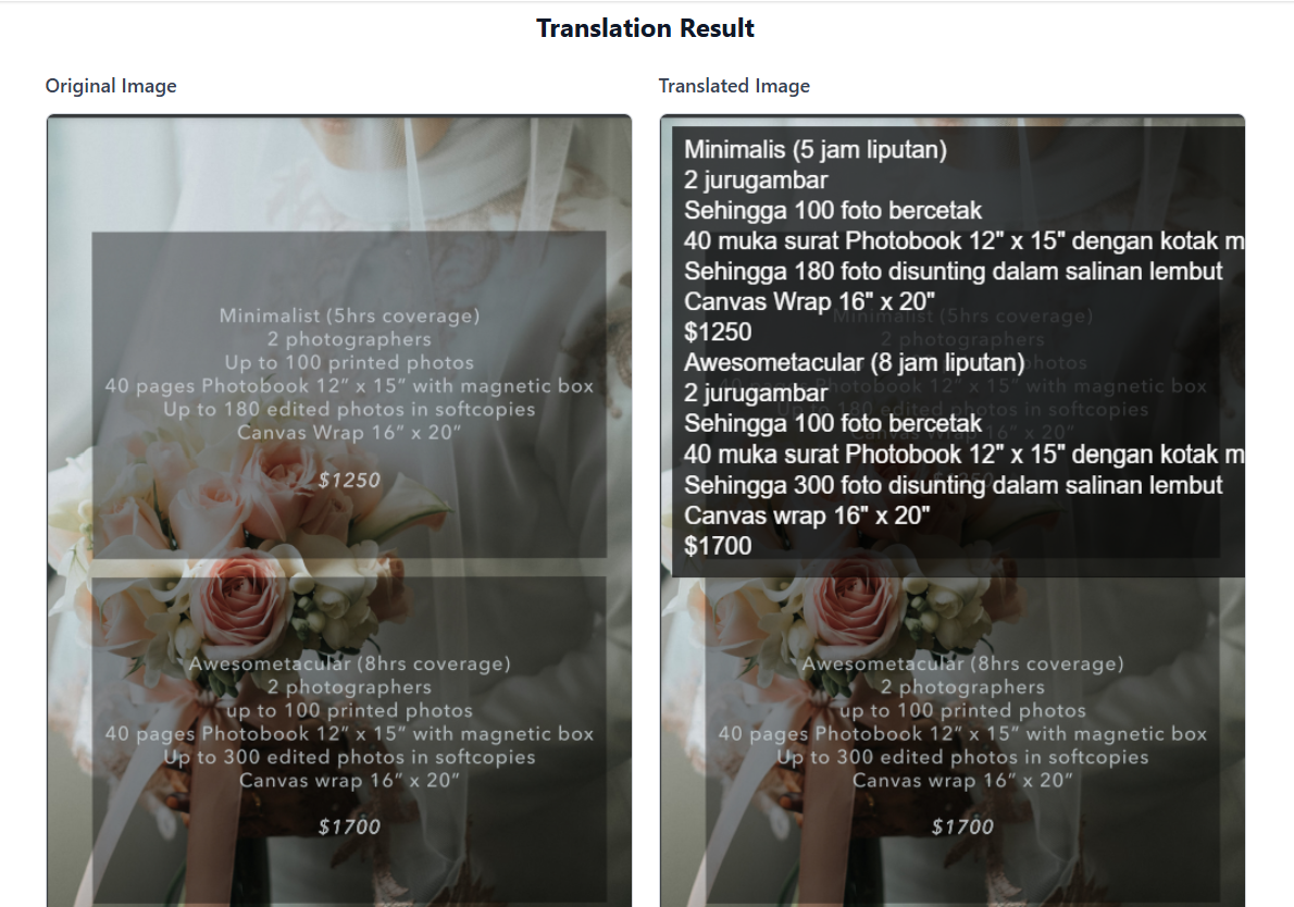 VisionLingual gallery image