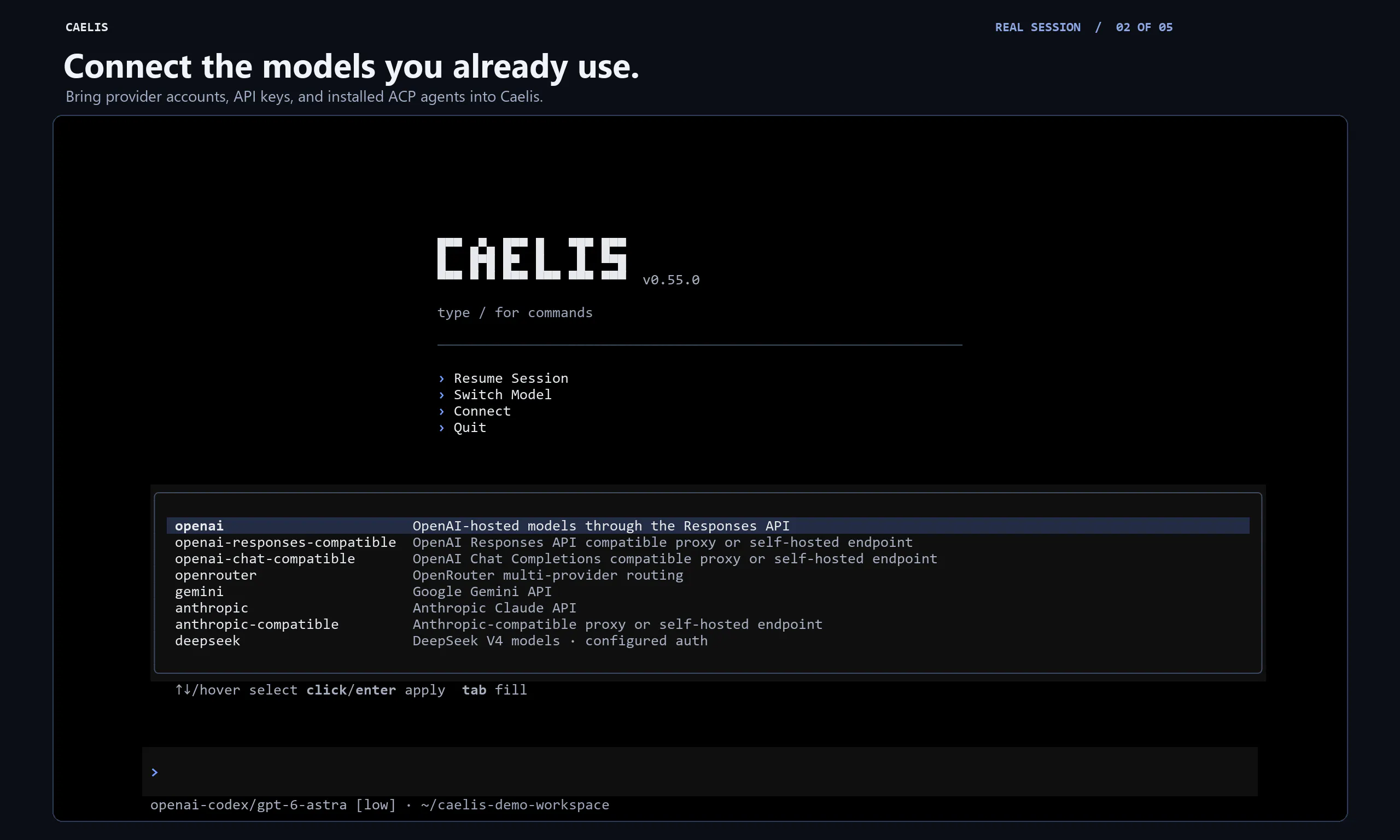 Caelis gallery image