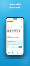 Tova Translate gallery image