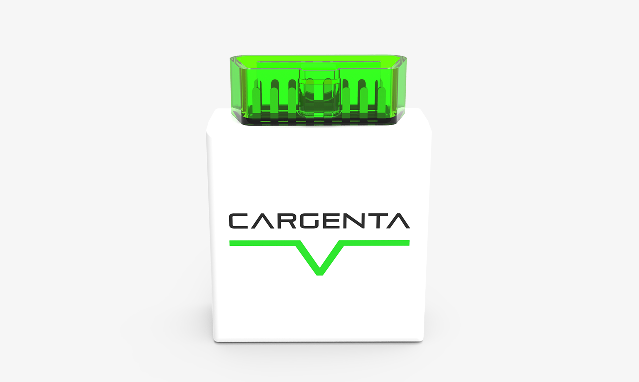 Cargenta Brain gallery image