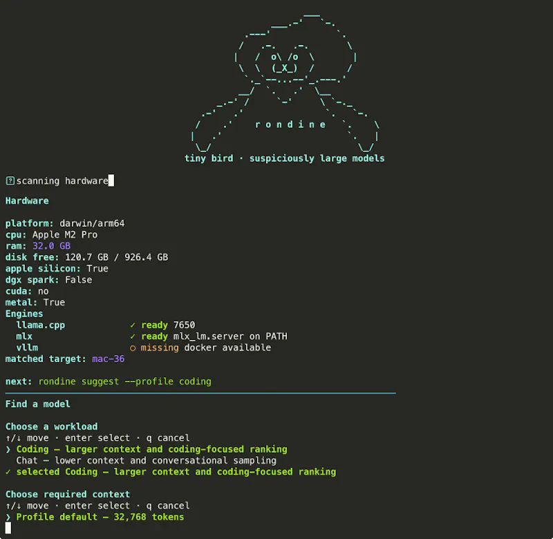 Rondine screenshot 1