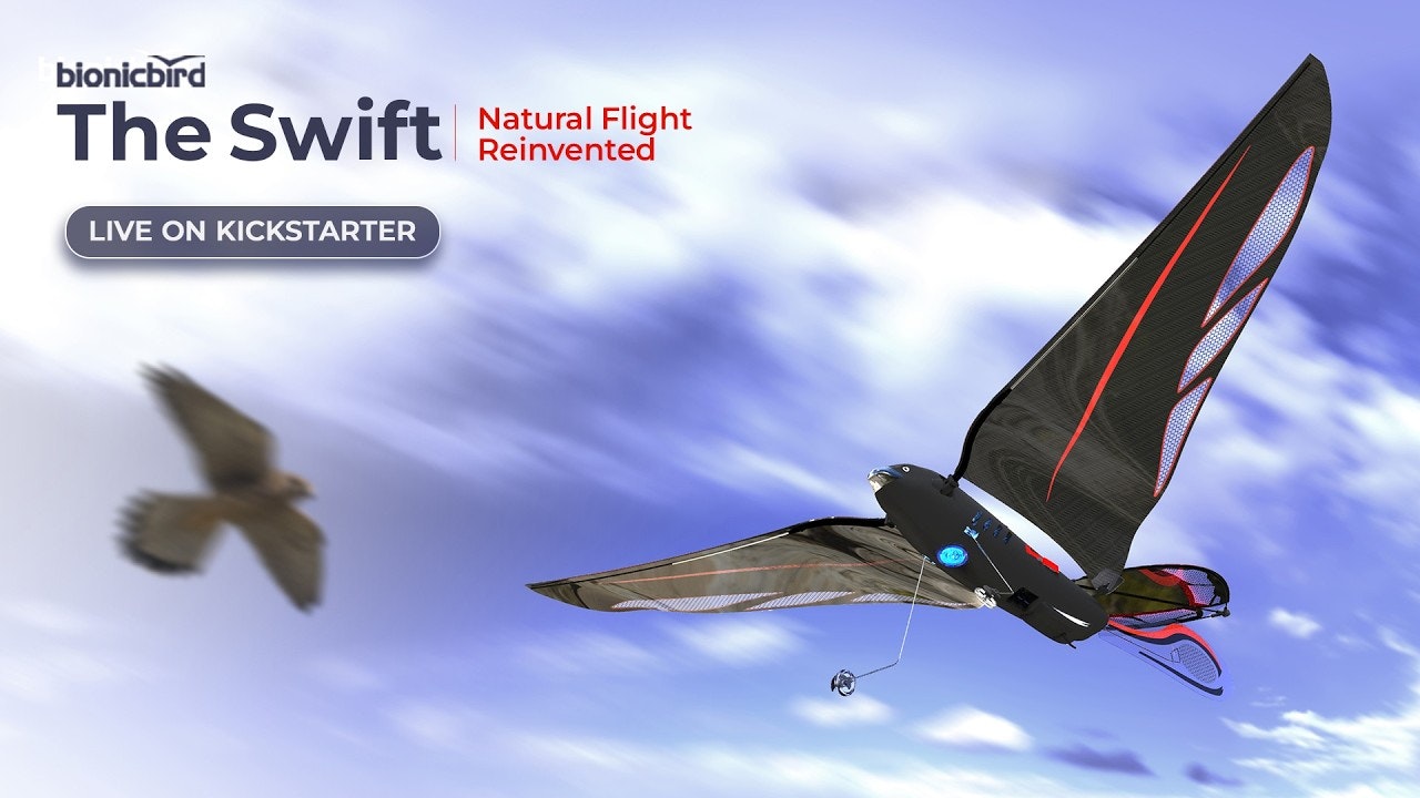 The Swift, bird-like flying robot gallery image