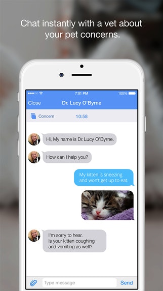 Kuddly gallery image