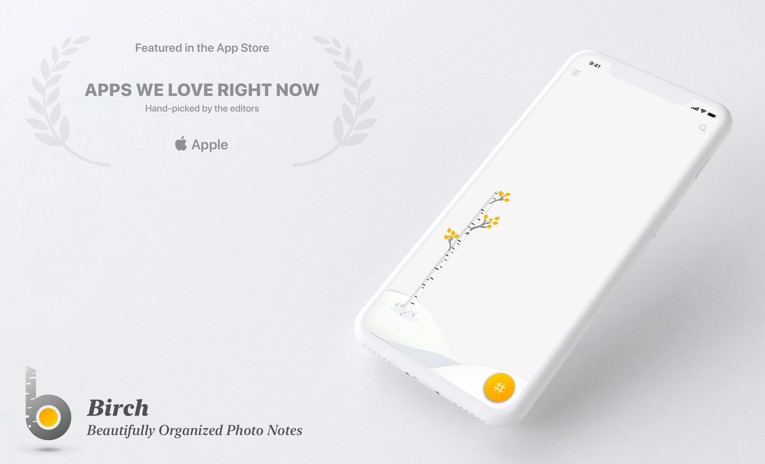 Birch 2.0 gallery image