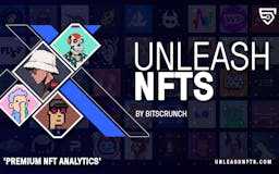 UnleashNFTs.com | bitsCrunch media 2