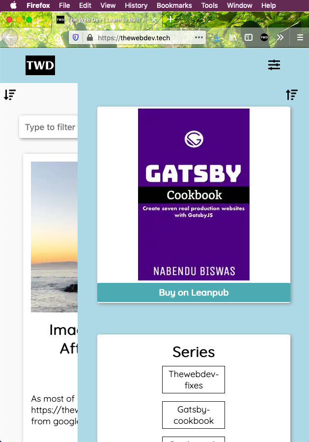 The Web Dev gallery image