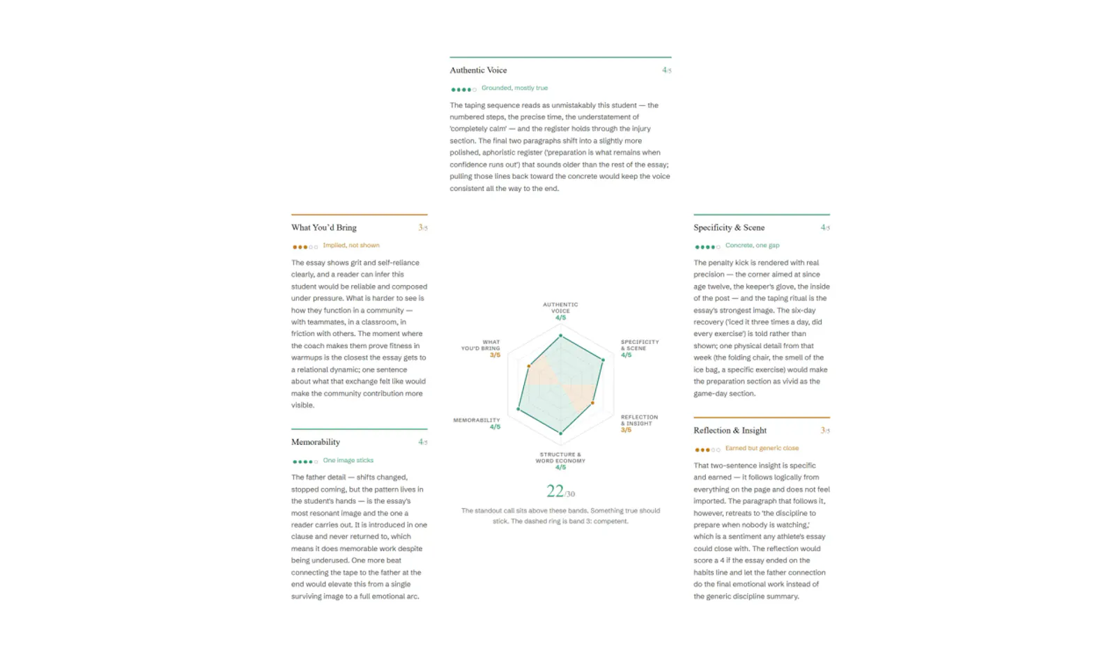 NudgeEssay screenshot 3