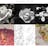 New Photo Collection on phlow