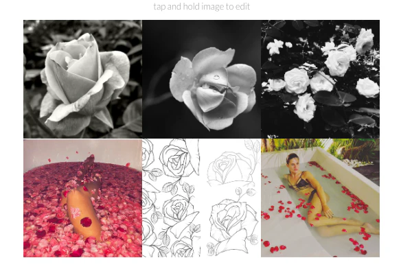 New Photo Collection on phlow