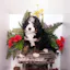 Michiana Bernedoodles