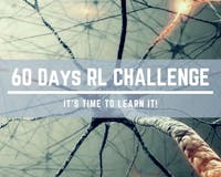 60 Days Reinforcement Learning Challenge media 1