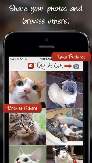 Tag a Cat