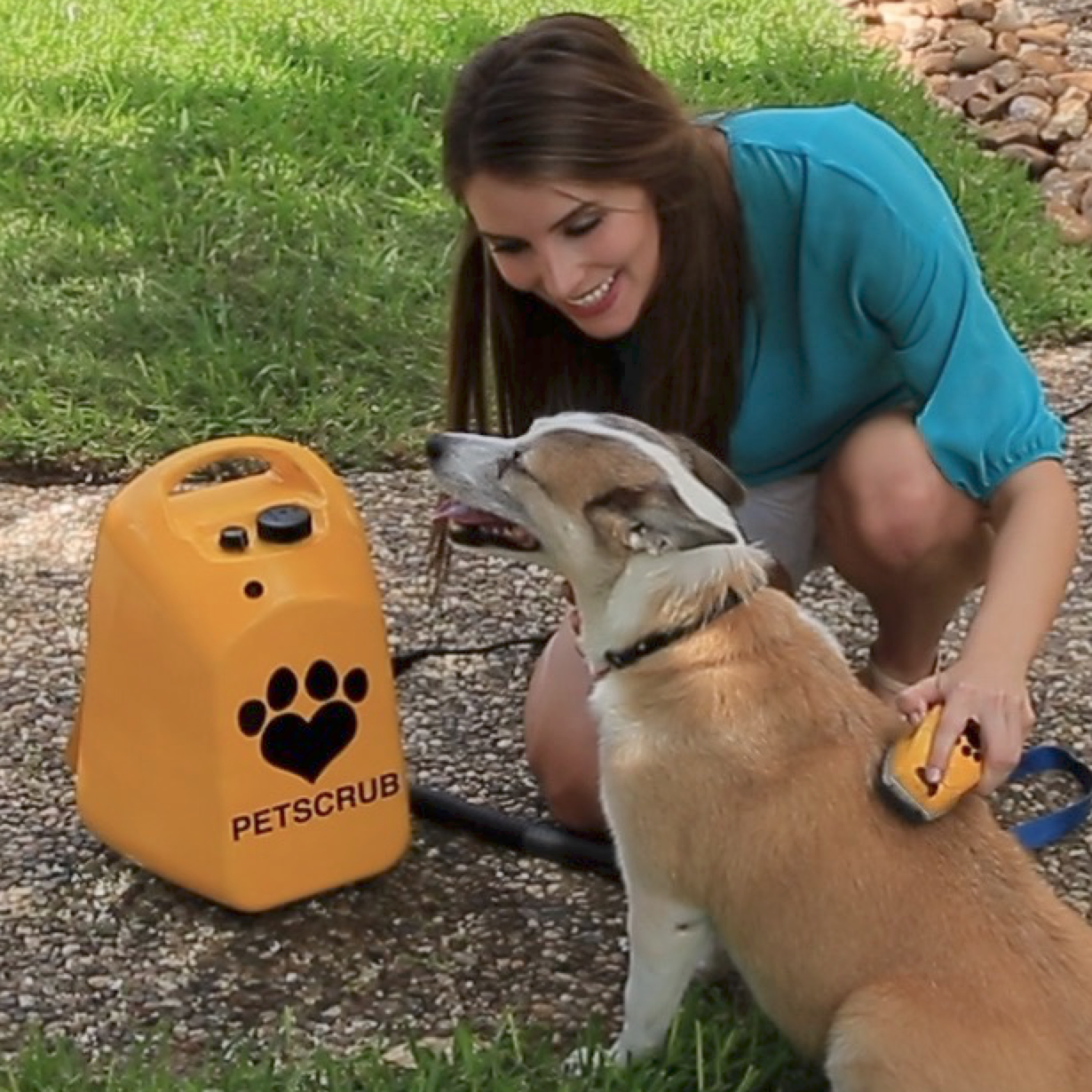 PetScrub gallery image