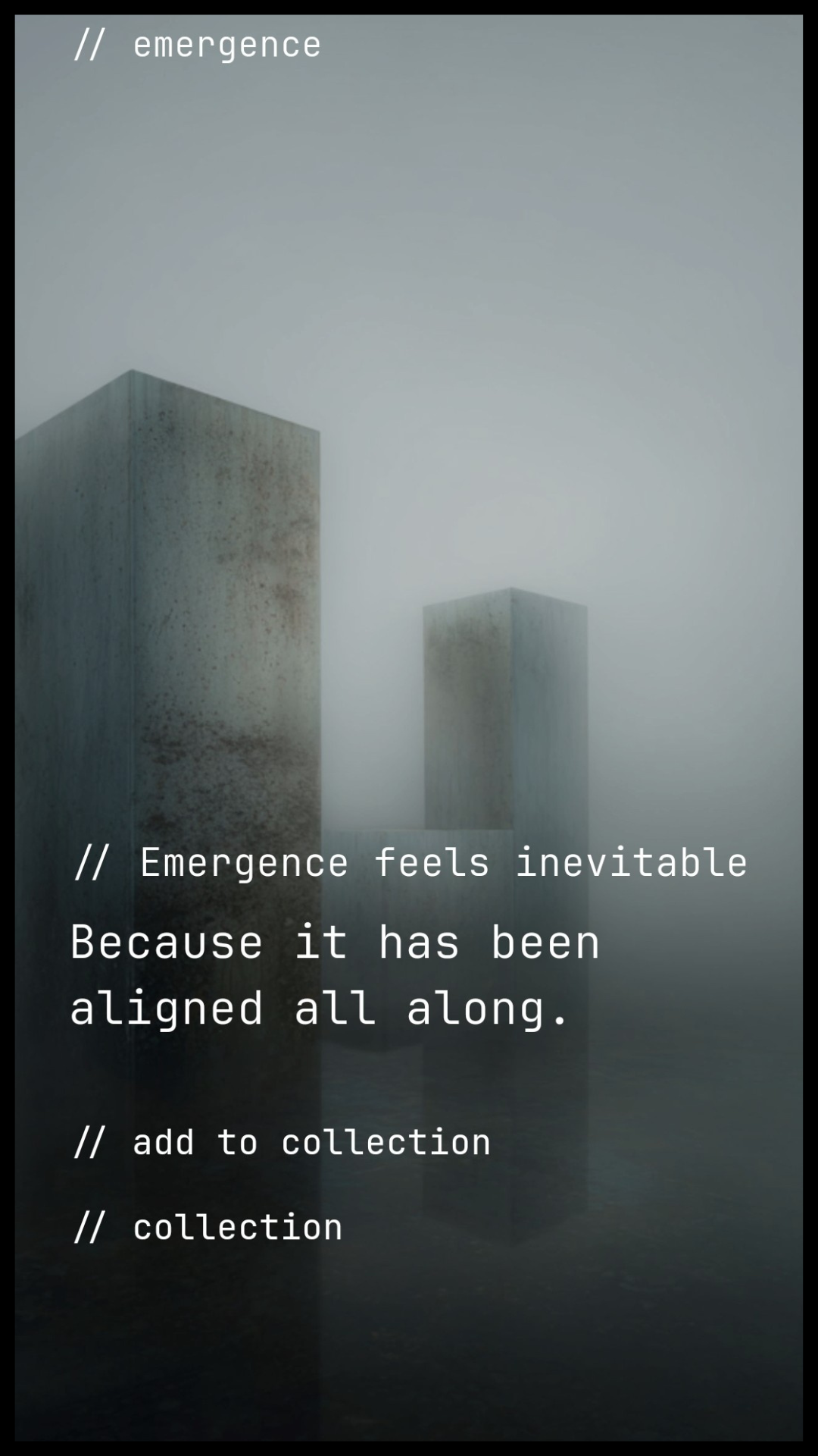 The Quiet Frame gallery image