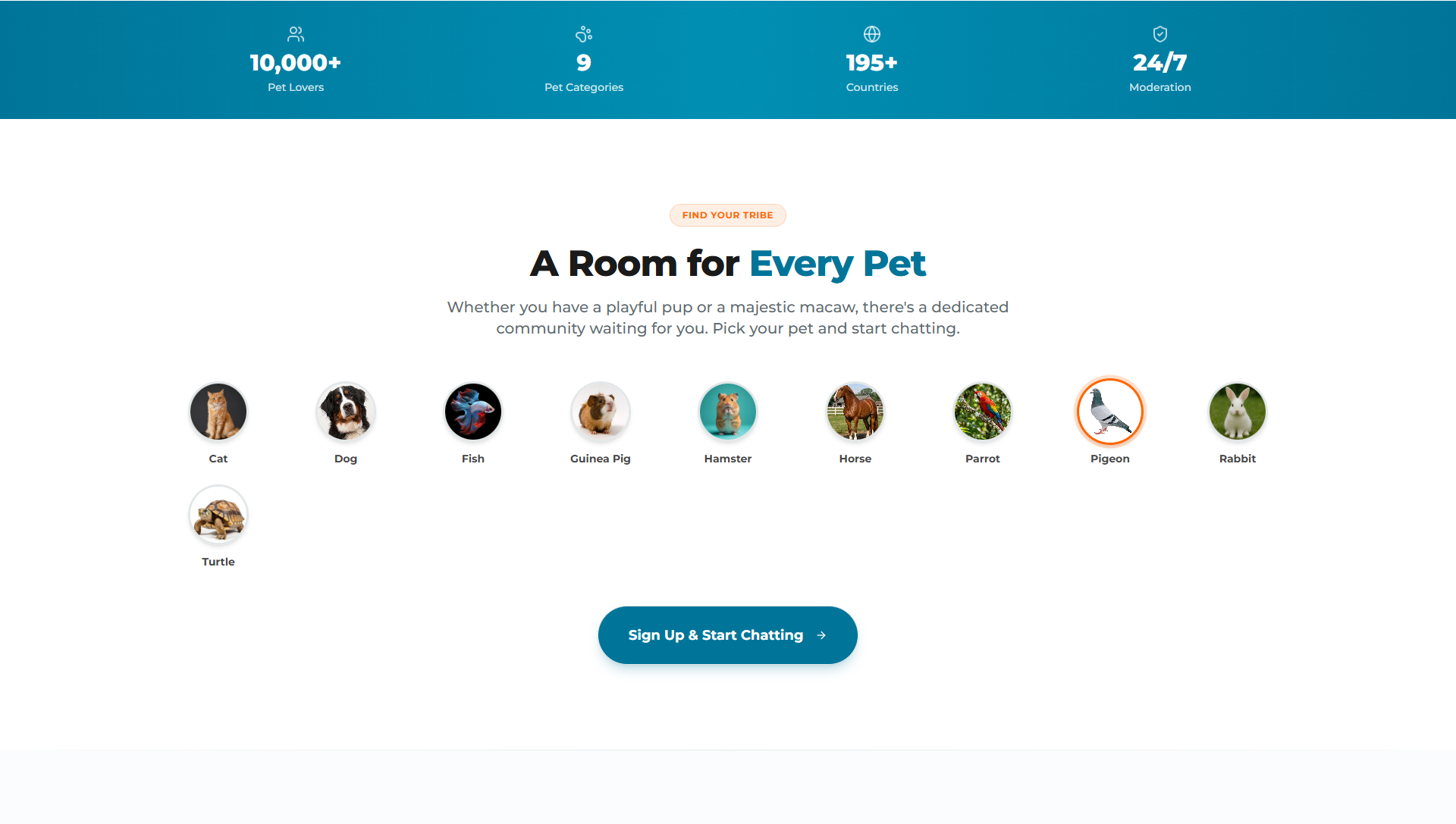 ScrollPet gallery image